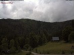 Archiv Foto Webcam Feldberg Raimartihof 13:00