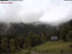 Archiv Foto Webcam Feldberg Raimartihof 09:00