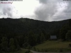 Archiv Foto Webcam Feldberg Raimartihof 13:00