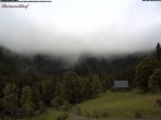 Archiv Foto Webcam Feldberg Raimartihof 07:00