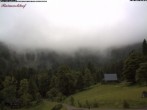 Archiv Foto Webcam Feldberg Raimartihof 09:00
