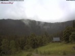 Archiv Foto Webcam Feldberg Raimartihof 11:00