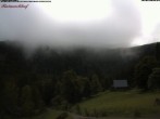 Archived image Webcam Raimartihof - Feldberg Seebuck 15:00