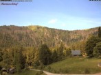 Archiv Foto Webcam Feldberg Raimartihof 09:00