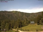 Archiv Foto Webcam Feldberg Raimartihof 09:00