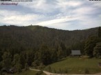 Archiv Foto Webcam Feldberg Raimartihof 11:00
