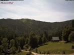 Archiv Foto Webcam Feldberg Raimartihof 13:00