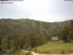 Archiv Foto Webcam Feldberg Raimartihof 07:00