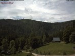 Archiv Foto Webcam Feldberg Raimartihof 11:00