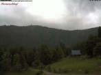 Archiv Foto Webcam Feldberg Raimartihof 15:00