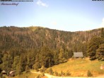 Archived image Webcam Raimartihof - Feldberg Seebuck 09:00