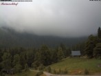 Archiv Foto Webcam Feldberg Raimartihof 06:00