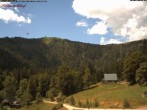 Archiv Foto Webcam Feldberg Raimartihof 11:00