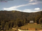 Archiv Foto Webcam Feldberg Raimartihof 11:00