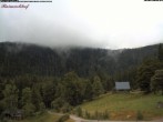 Archiv Foto Webcam Feldberg Raimartihof 11:00
