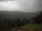 Archiv Foto Webcam Feldberg Raimartihof 13:00