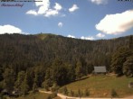 Archiv Foto Webcam Feldberg Raimartihof 11:00