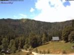 Archiv Foto Webcam Feldberg Raimartihof 11:00