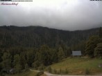 Archiv Foto Webcam Feldberg Raimartihof 09:00