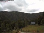 Archiv Foto Webcam Feldberg Raimartihof 11:00