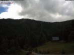 Archived image Webcam Raimartihof - Feldberg Seebuck 11:00