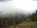 Archiv Foto Webcam Feldberg Raimartihof 11:00