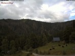 Archiv Foto Webcam Feldberg Raimartihof 07:00