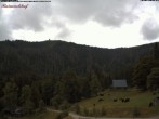 Archiv Foto Webcam Feldberg Raimartihof 11:00