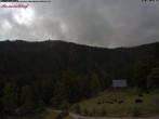 Archiv Foto Webcam Feldberg Raimartihof 13:00