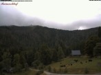 Archiv Foto Webcam Feldberg Raimartihof 09:00