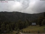 Archiv Foto Webcam Feldberg Raimartihof 11:00