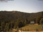 Archived image Webcam Raimartihof - Feldberg Seebuck 11:00