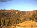 Archiv Foto Webcam Feldberg Raimartihof 07:00