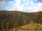 Archiv Foto Webcam Feldberg Raimartihof 07:00