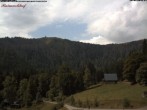 Archiv Foto Webcam Feldberg Raimartihof 11:00