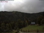 Archiv Foto Webcam Feldberg Raimartihof 11:00