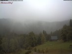 Archiv Foto Webcam Feldberg Raimartihof 08:00