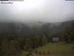 Archiv Foto Webcam Feldberg Raimartihof 09:00