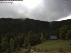 Archiv Foto Webcam Feldberg Raimartihof 11:00