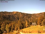 Archived image Webcam Raimartihof - Feldberg Seebuck 09:00