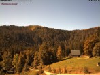 Archived image Webcam Raimartihof - Feldberg Seebuck 11:00