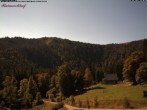 Archived image Webcam Raimartihof - Feldberg Seebuck 13:00