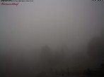 Archiv Foto Webcam Feldberg Raimartihof 11:00
