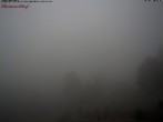 Archiv Foto Webcam Feldberg Raimartihof 13:00