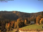 Archiv Foto Webcam Feldberg Raimartihof 11:00