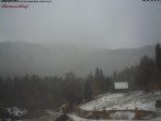 Archiv Foto Webcam Feldberg Raimartihof 08:00
