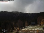 Archiv Foto Webcam Feldberg Raimartihof 13:00