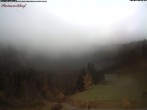 Archiv Foto Webcam Feldberg Raimartihof 09:00