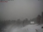 Archiv Foto Webcam Feldberg Raimartihof 06:00