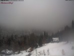 Archiv Foto Webcam Feldberg Raimartihof 09:00